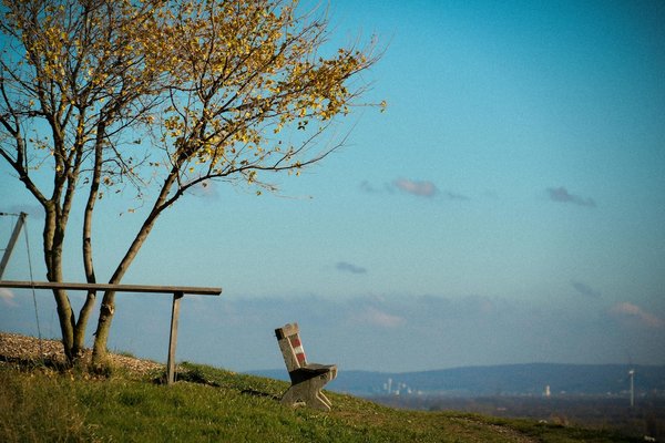 Comment les rituels de gratitude peuvent-ils transformer votre mentalité et améliorer votre qualité de vie?