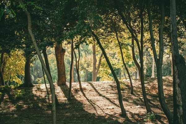 Quelles techniques de respiration peuvent aider à réduire l'anxiété et favoriser la perte de poids ?
