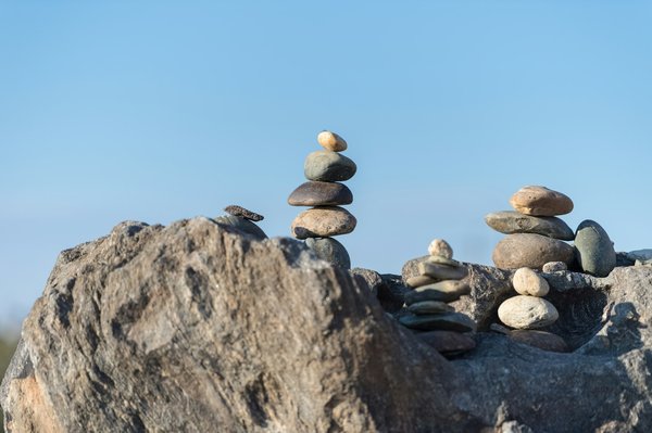 Équilibre entre bien-être physique et mental : nos solutions zen